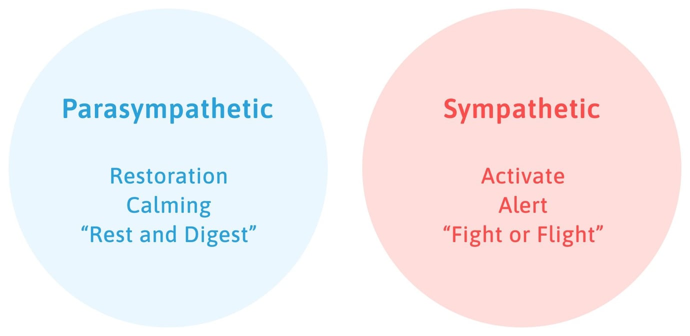 Why Concussion Can Lead to Blood Pressure Change & POTS Cognitive FX